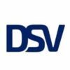 dsv